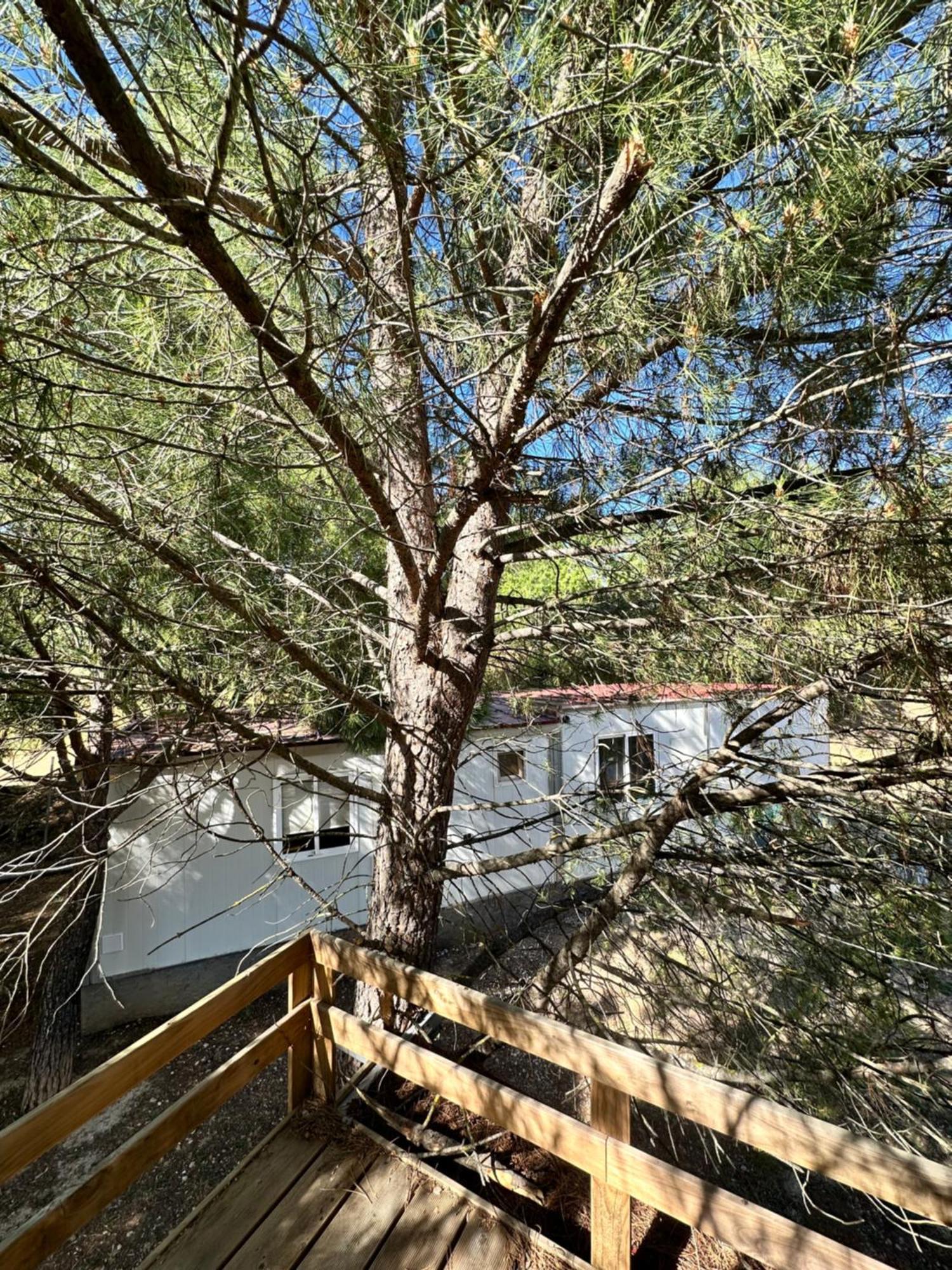 Bungalow Golosina Torrelaguna エクステリア 写真