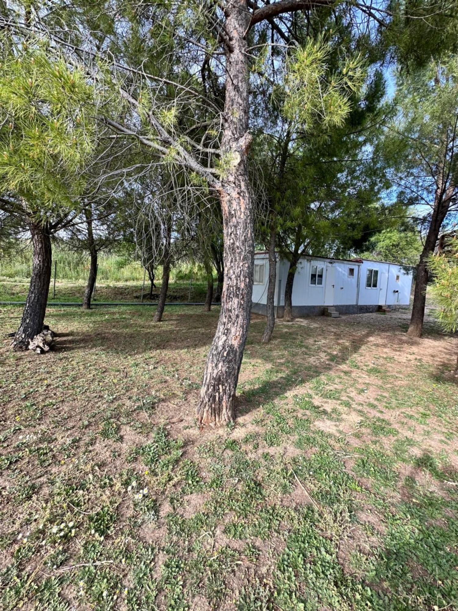 Bungalow Golosina Torrelaguna エクステリア 写真